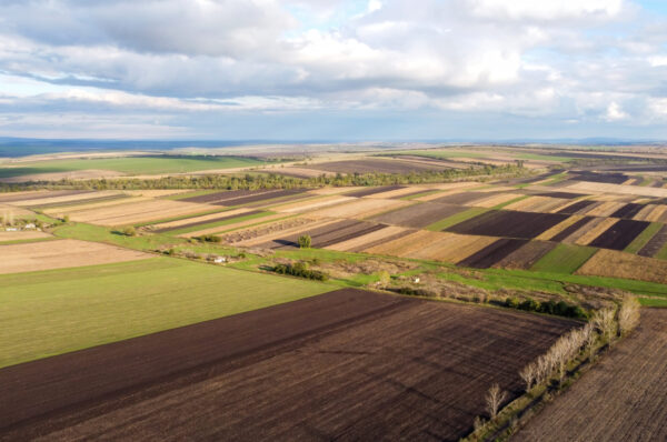 Aerial drone view of nature in Moldova, sown fields, trees rows, cloudy sky