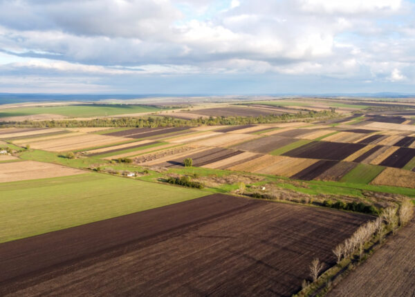 Aerial drone view of nature in Moldova, sown fields, trees rows, cloudy sky